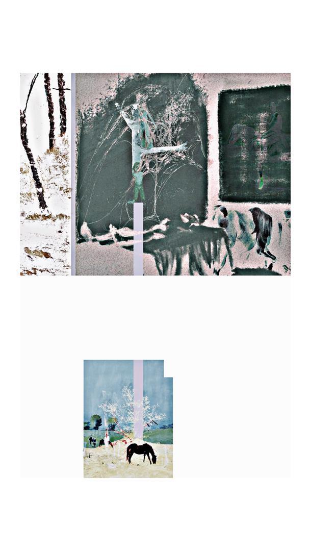 از پیشانی زخمی اسب