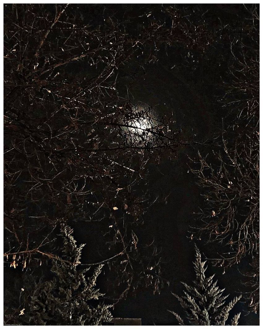 طبیعت-حیران