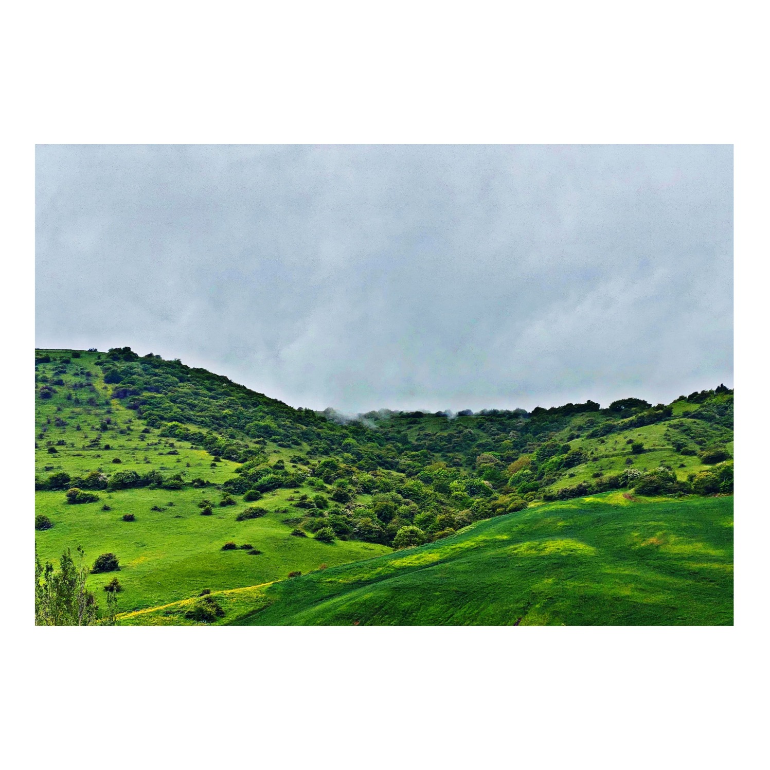 طبیعت-حیران