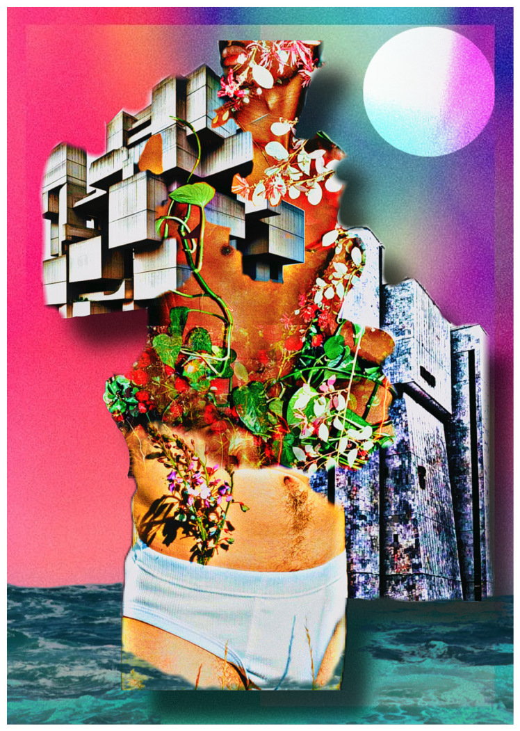 فهم ِ بروتالیستیک