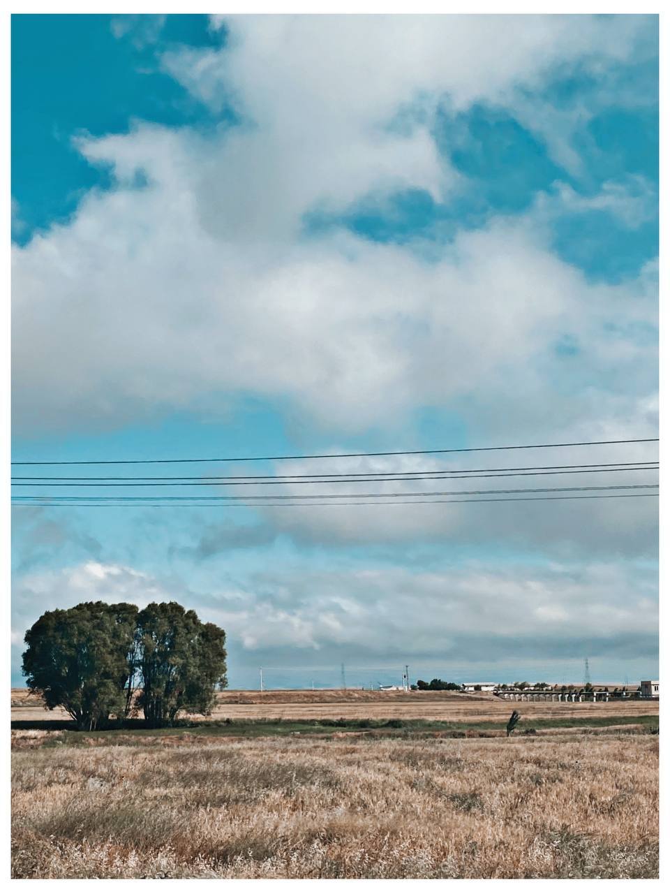 طبیعت-حیران