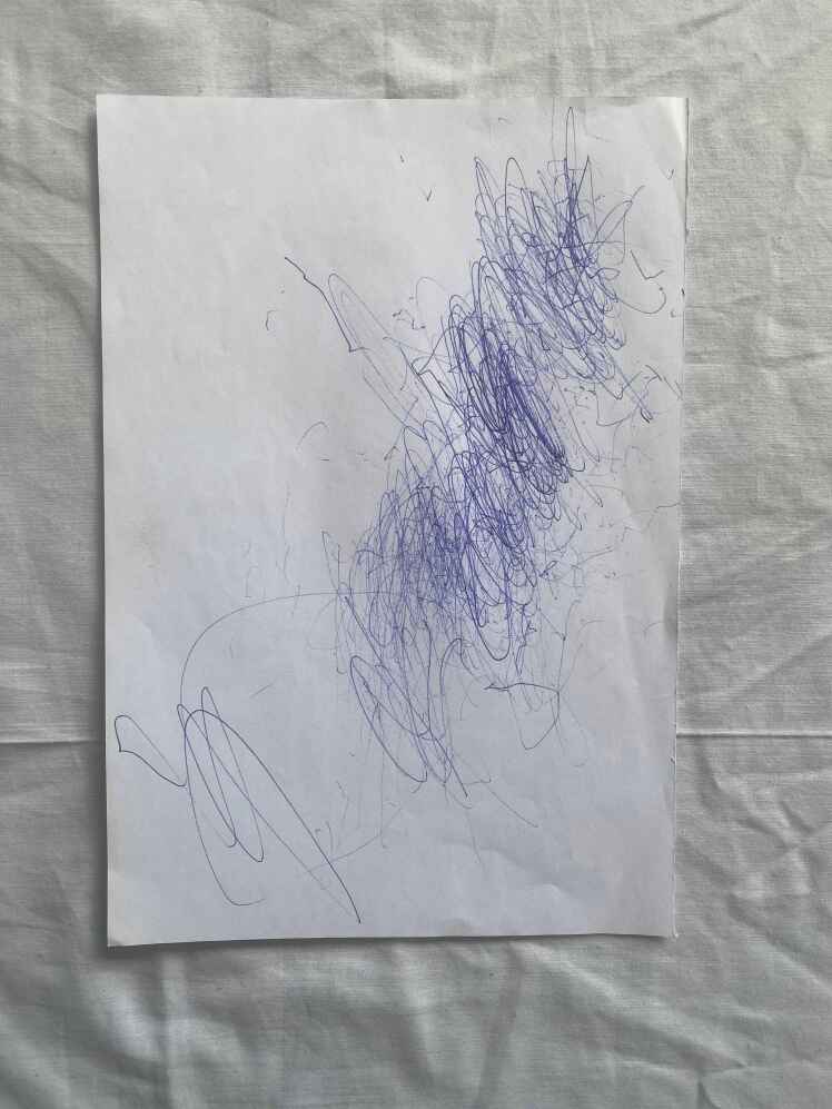 حافظه ی شقیقه.