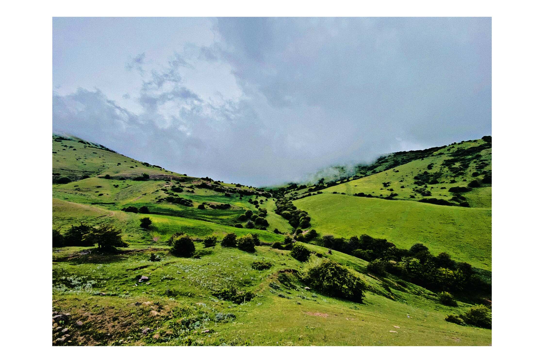 طبیعت-حیران