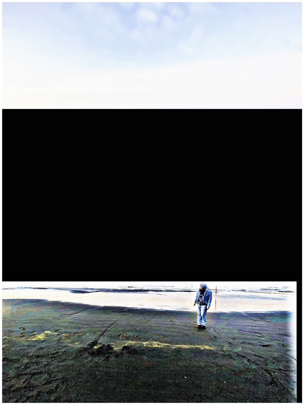 زیست طبیعی شعر