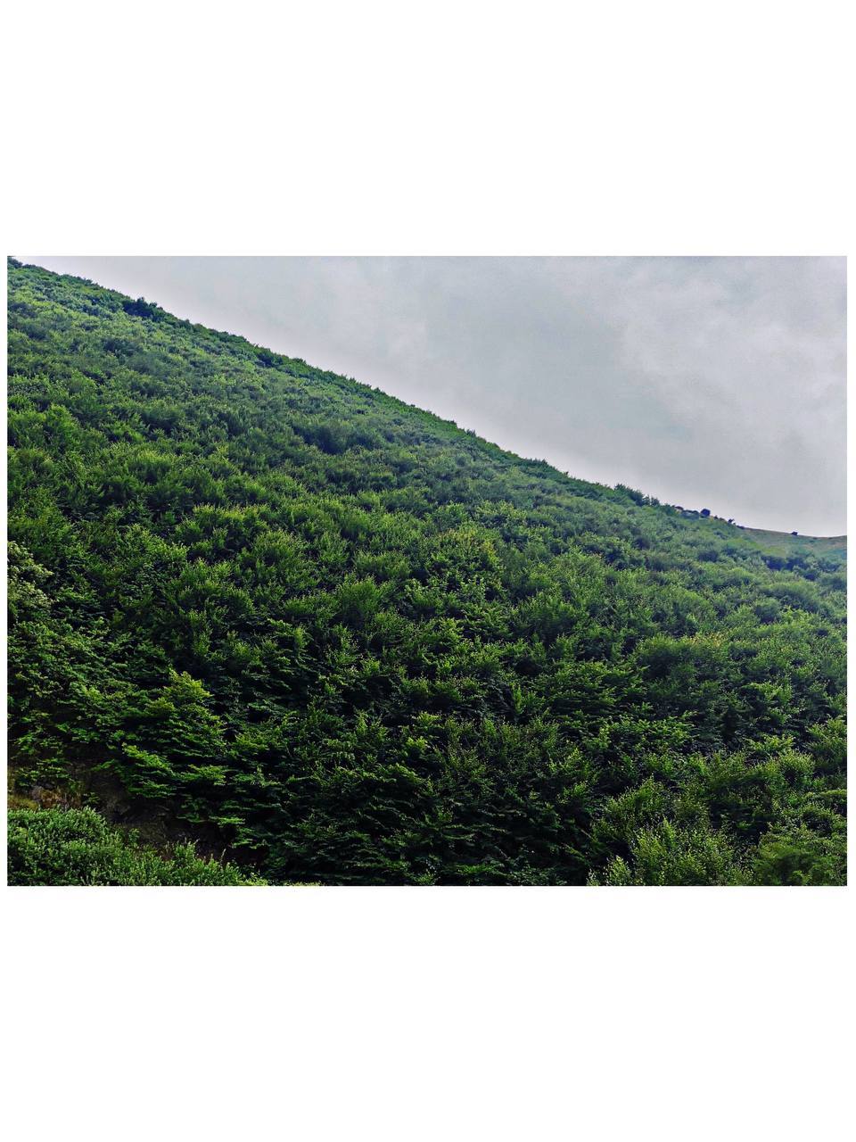 طبیعت-اردبیل