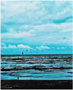 دریا و بودگی/در اتاق درمان