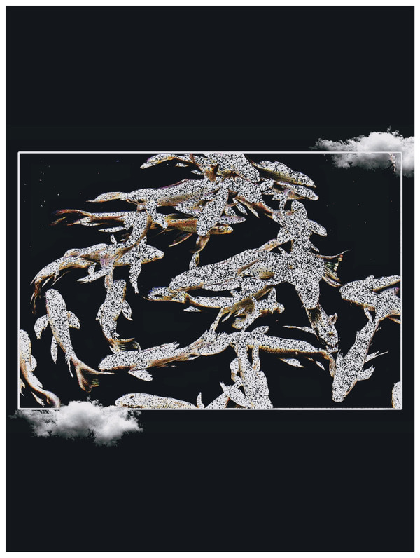 سکوت ِ ماهی ها را کسی نمی‌شنود.