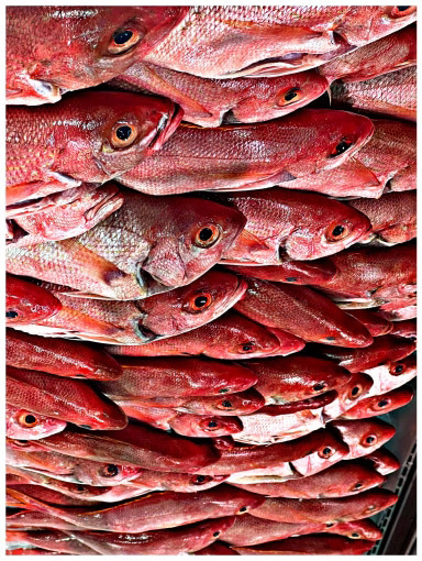 مرگ موجه تر