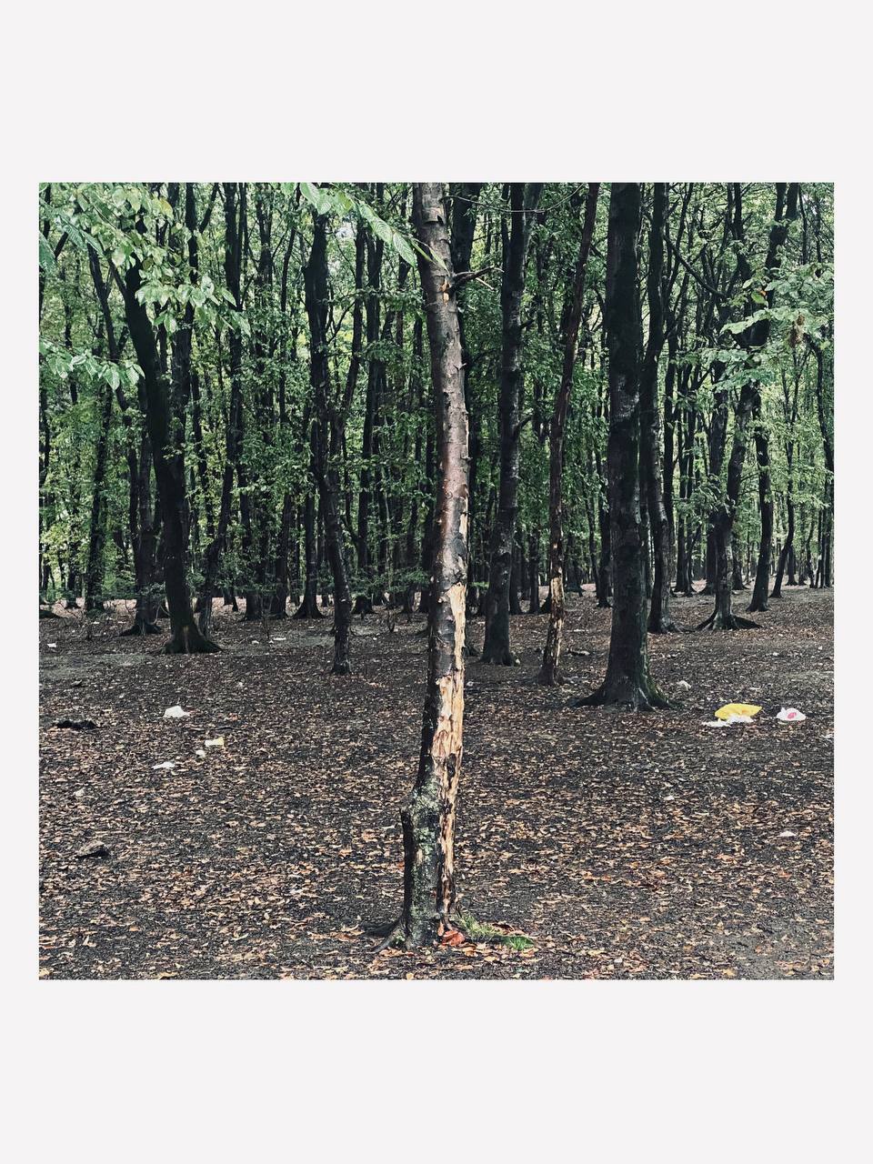 طبیعت-اردبیل