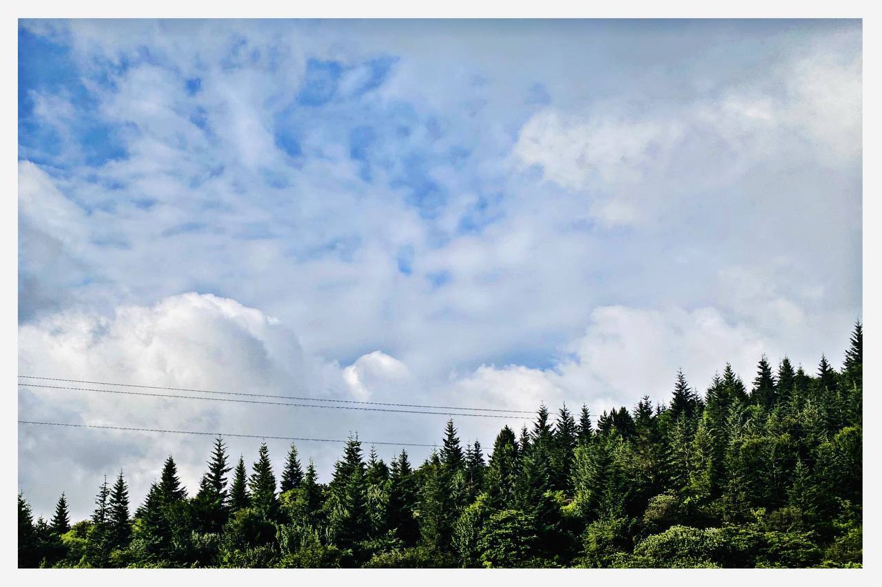 طبیعت-حیران